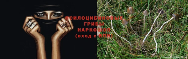а пвп мука Баксан